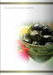 Irmak Sele Zeytini Ürün Grubu (Gemlik ) 2 - Özba Gıda İnşaat San. ve Tic. Ltd. Şti. - 0412 251 11 53 - 0412 251 05 64