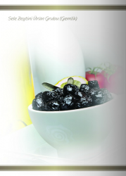Irmak Sele Zeytini Ürün Grubu (Gemlik ) - Özba Gıda İnşaat San. ve Tic. Ltd. Şti. - 0412 251 11 53 - 0412 251 05 64