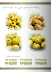 Irmak Yeşil Zeytin Ürün Grubu ( Akhisar - Edremit ) - Özba Gıda İnşaat San. ve Tic. Ltd. Şti. - 0412 251 11 53 - 0412 251 05 64